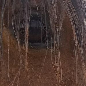 Meet your Posher, Ta